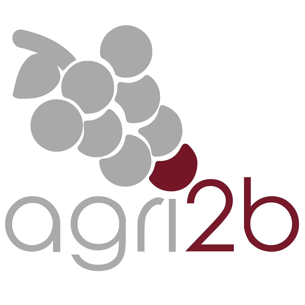 agri2b-logo-grafica-sito-web-contessifostinelli